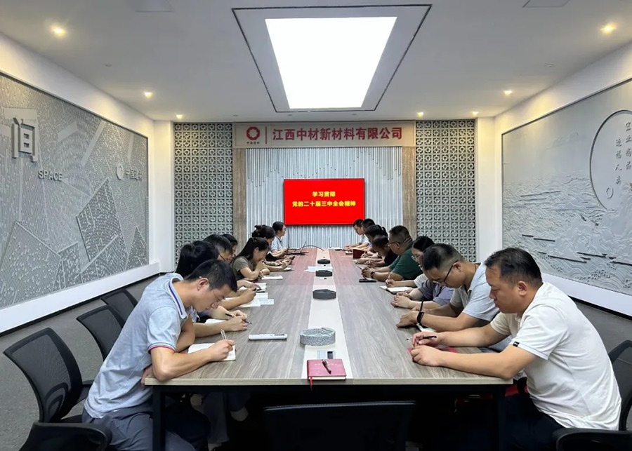 江西中材党总支传达学习贯彻党的二十届三中全会精神